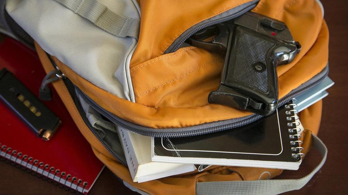 A committee made up of student body presidents from all state universities has invited all students in the system to weigh in on a survey to gauge attitudes toward guns on campus. Results are expected sometime next month.