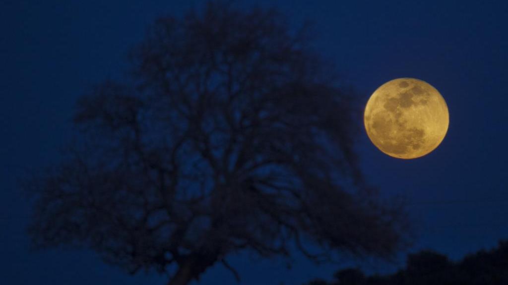 Don’t miss your chance to see a blue supermoon from Georgia. Here’s when to look up