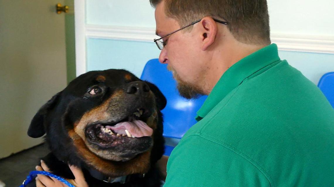 
Joshua Edwards is reunited with his Rottweiler named Duke at the Tamiami Animal Hospital last week. Duke had been missing eight years before he was found and returned home. 
