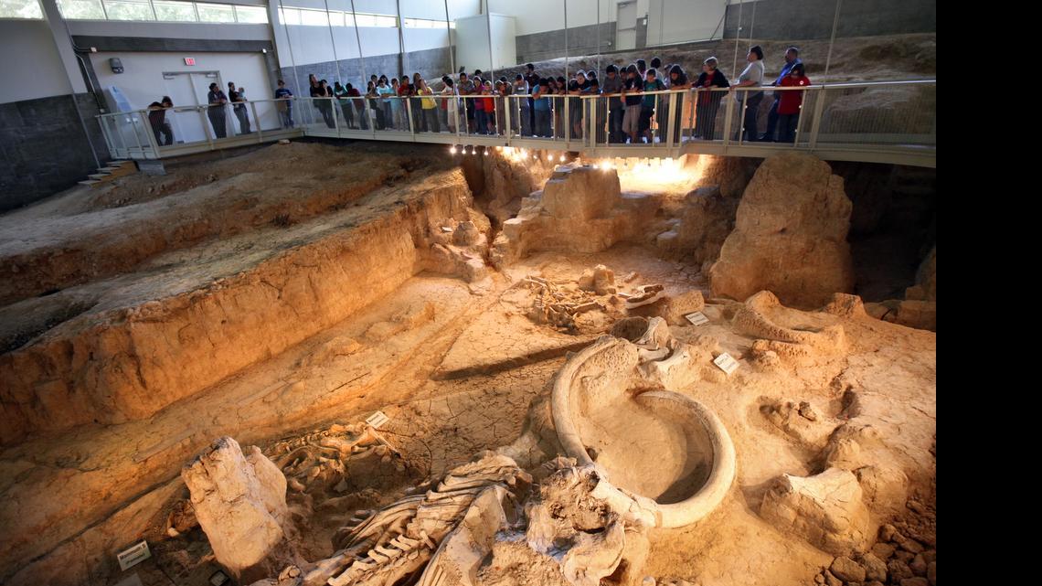 
Fifth graders from West Intermediate School in West, Texas, tour the Waco Mammoth Site in Waco, Texas during a field trip in 2011. The Mammoth bones, prehistoric rock carvings and more than a million acres of wilderness will be protected as part of three new national monuments that President Obama is creating in California, Nevada and Texas.
