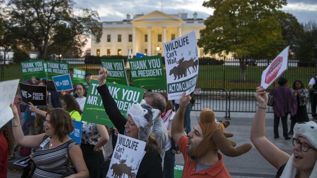 Demonstrators cheer during a gathering in front of the White House to celebrate President Obama's rejection of the Keystone XL pipeline on Friday.