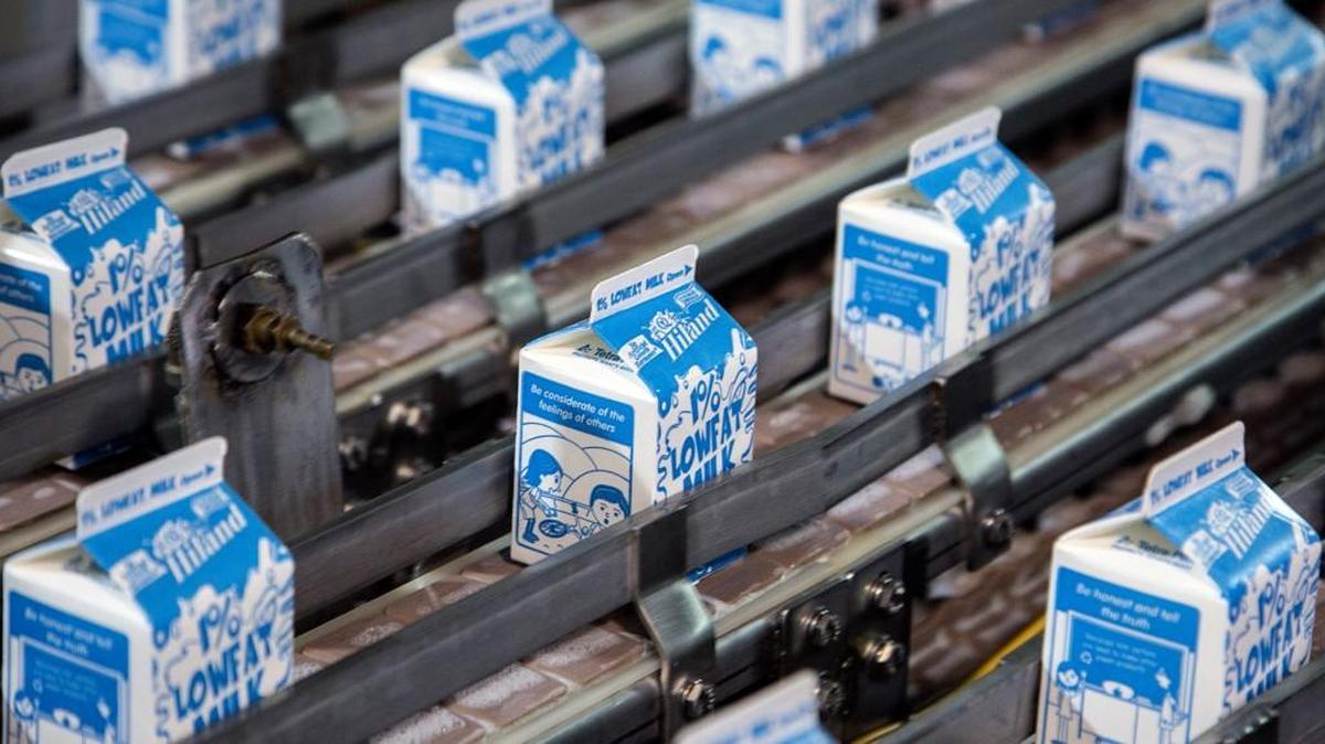 A kindergartner is on a Milk Money Mission to provide milk for all the students in her class.