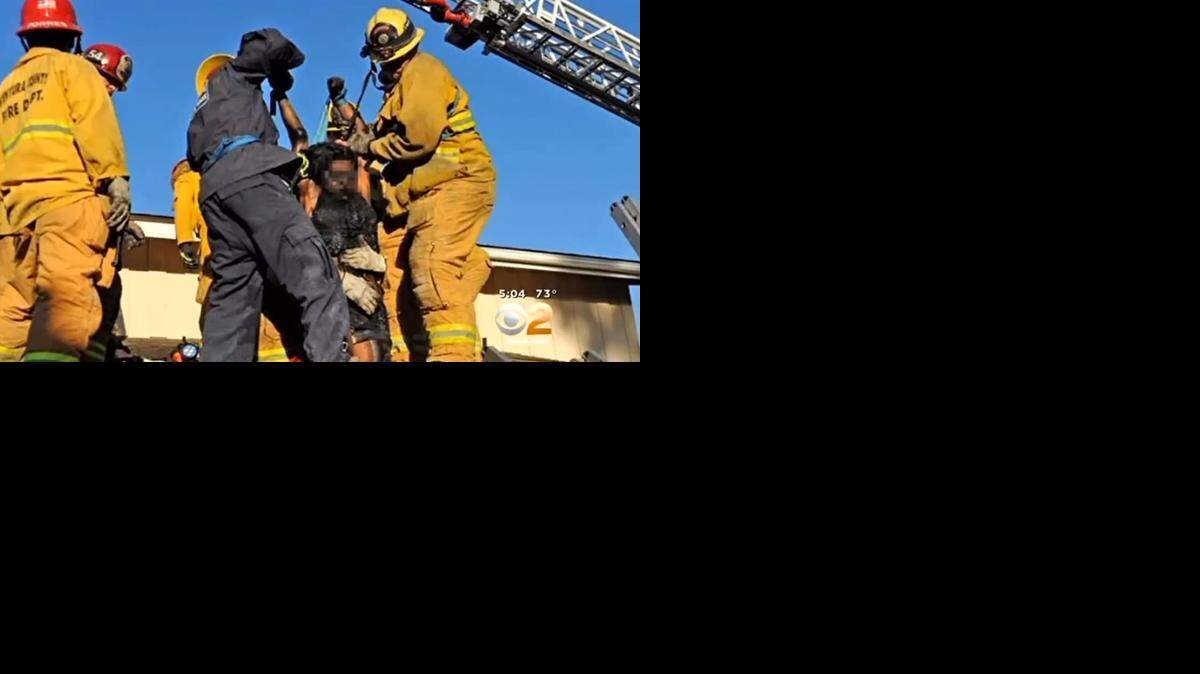 
Screengrab from video
