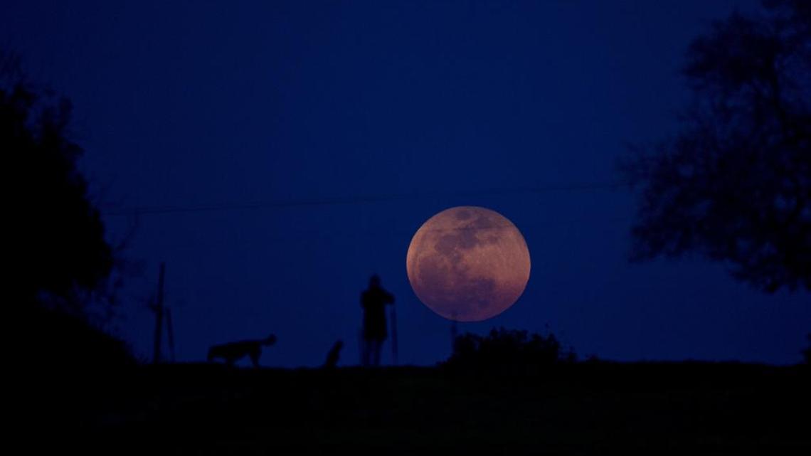 A bigger, brighter full moon will rise over Illinois this week. Why it appears larger
