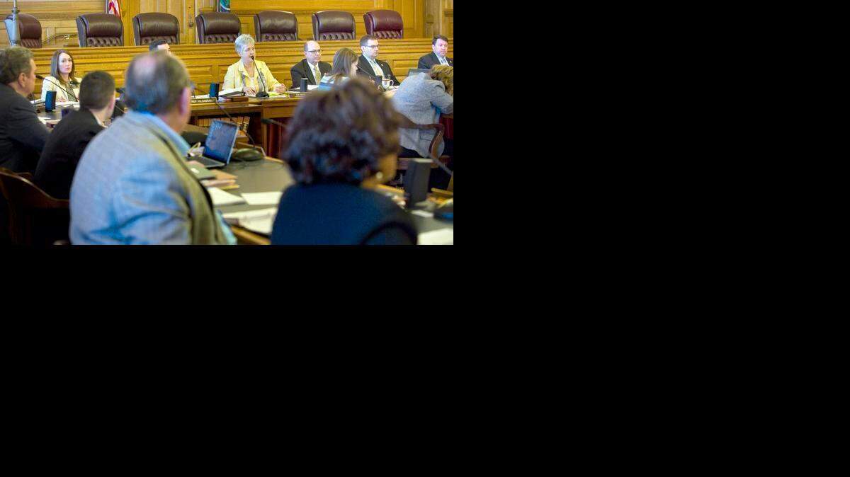 
The House Federal and State Affairs Committee listened and asked questions about a bill before them Monday, March 30, 2015, that advocates say is needed to prevent discrimination against faith-based student organizations at public colleges and critics who say the bill could have unintended consequences. 
