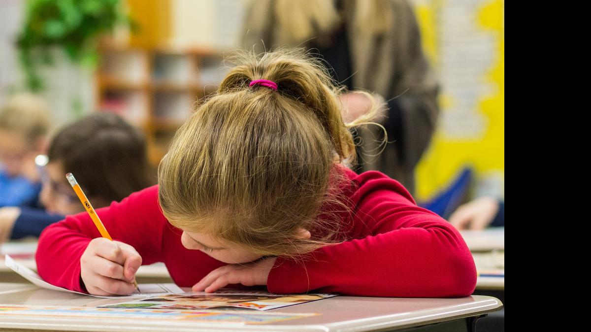 
Gifted student Kate Quinton, 9, works on an assignment at McCollom Elementary School. on Wednesday. The Legislature passes a bill this session to replaced school funding based on weighted attendance with block grants based on 2014 spending. (Jan. 7, 2015)
