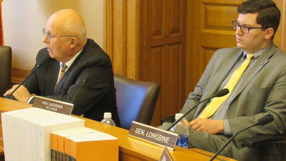 Sen. Ralph Ostmeyer, R-Grinnell, and Sen. Jacob LaTurner, R-Pittsburg, right, the sponsor of a bill that would give an anti-discrimination protection to gun dealers, listen to testimony during a hearing Thursday. (Jan. 28, 2016)