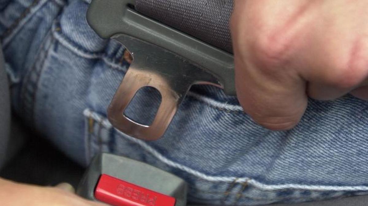 Seatbelt illustration