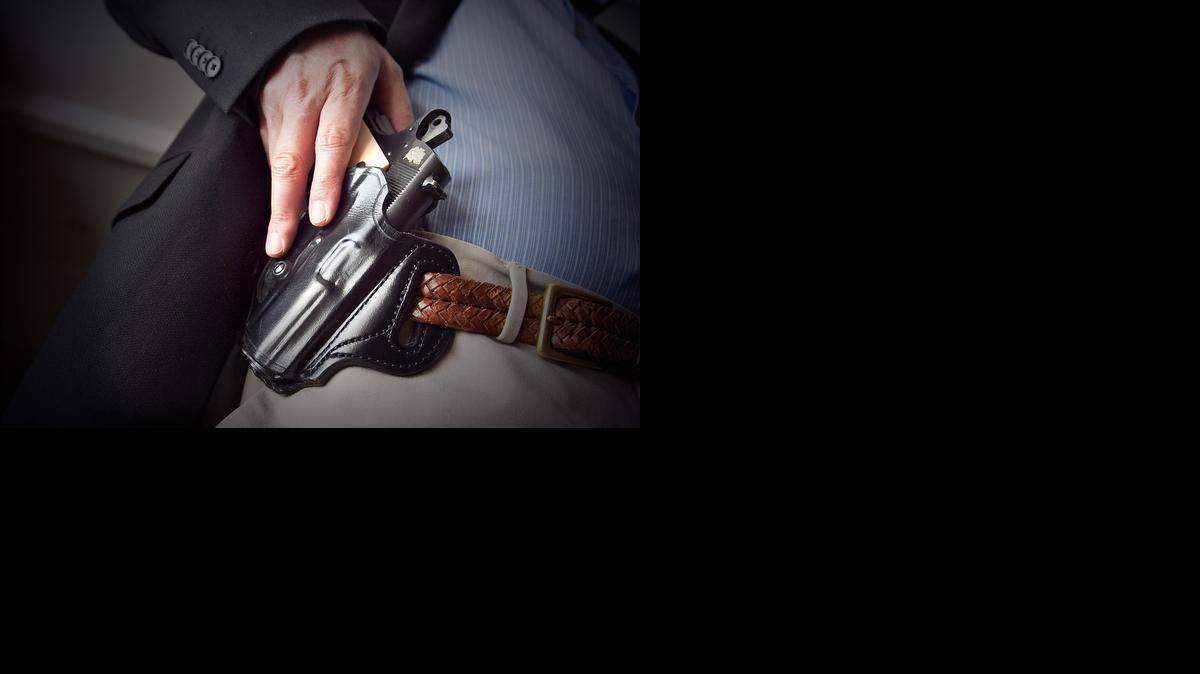 
Senate Bill 45 would allow people to carry concealed guns regardless of whether they obtain a permit. 
