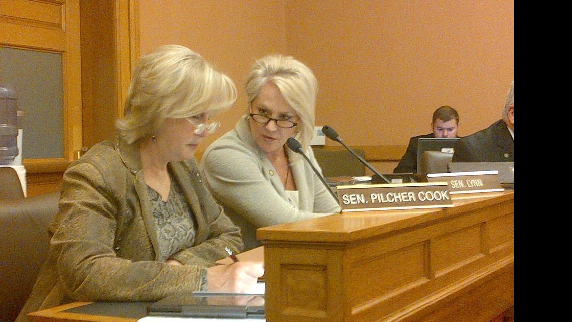 
Sens. Mary Pilcher-Cook (left) and Julia Lynn at Senate tax committee meeting Tuesday.
