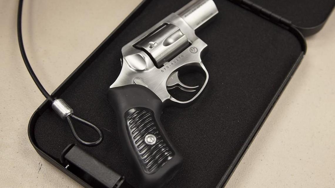 The proposal would function similarly to laws that prevent religious or racial discrimination and allow gun dealers to sue in cases where they felt discriminated against.