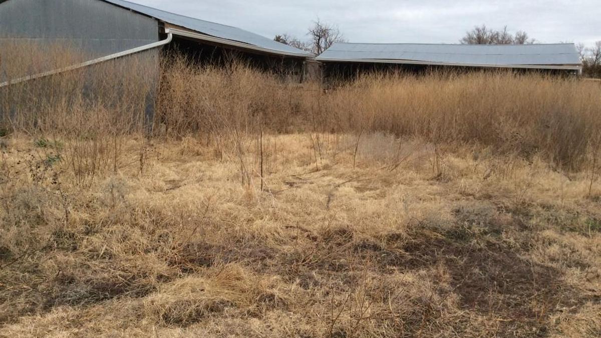 The stables at the Judge Riddel Boys Ranch would be torn down, along with the rest of the property, under a proposal before the Sedgwick County Commission on July 12. (File photo: March 2016)