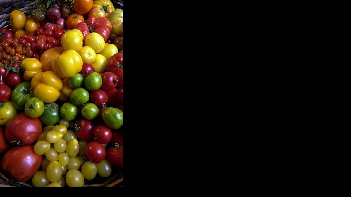
Varieties of tomatoes in a vast array of sizes, shapes and colors. 
