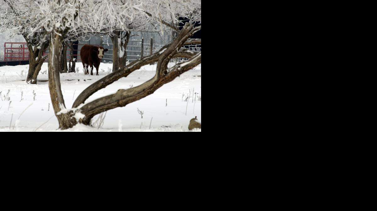 
Gov. Sam Brownback is betting the financial incentives meant to draw people to rural areas will work to draw others to urban centers in Kansas. 
