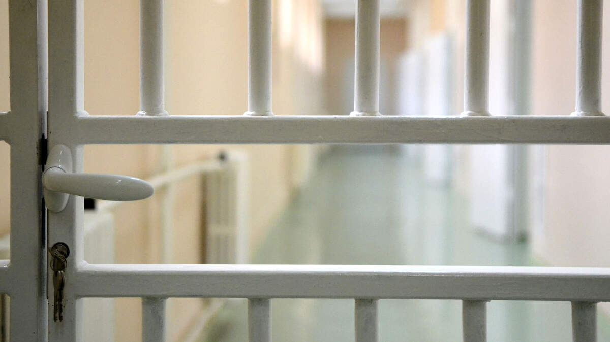This illustration shows bars in a correctional facility.