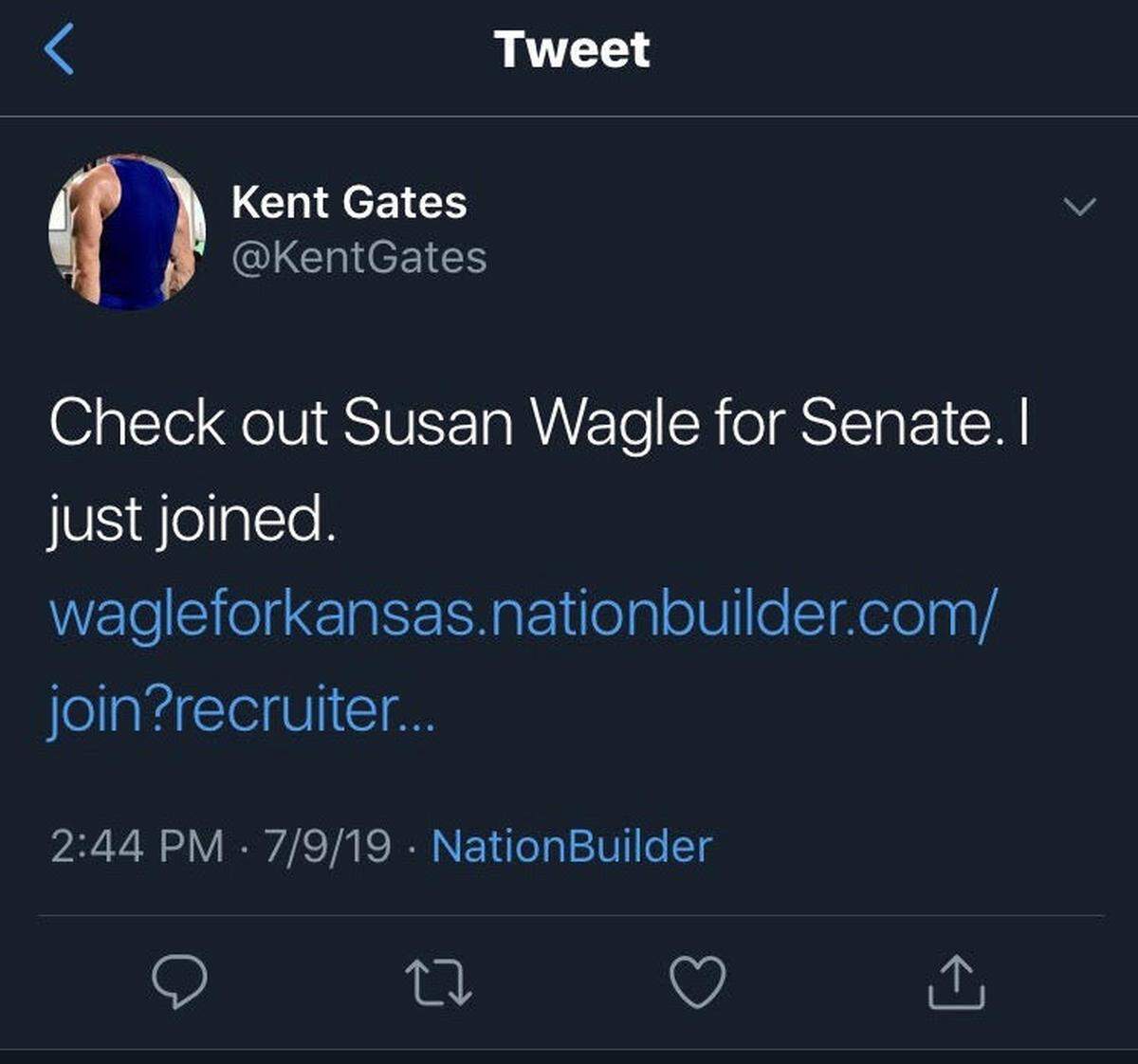 BrabenderCox strategist Kent Gates tweeted Tuesday about a “Susan Wagle for Senate” website.