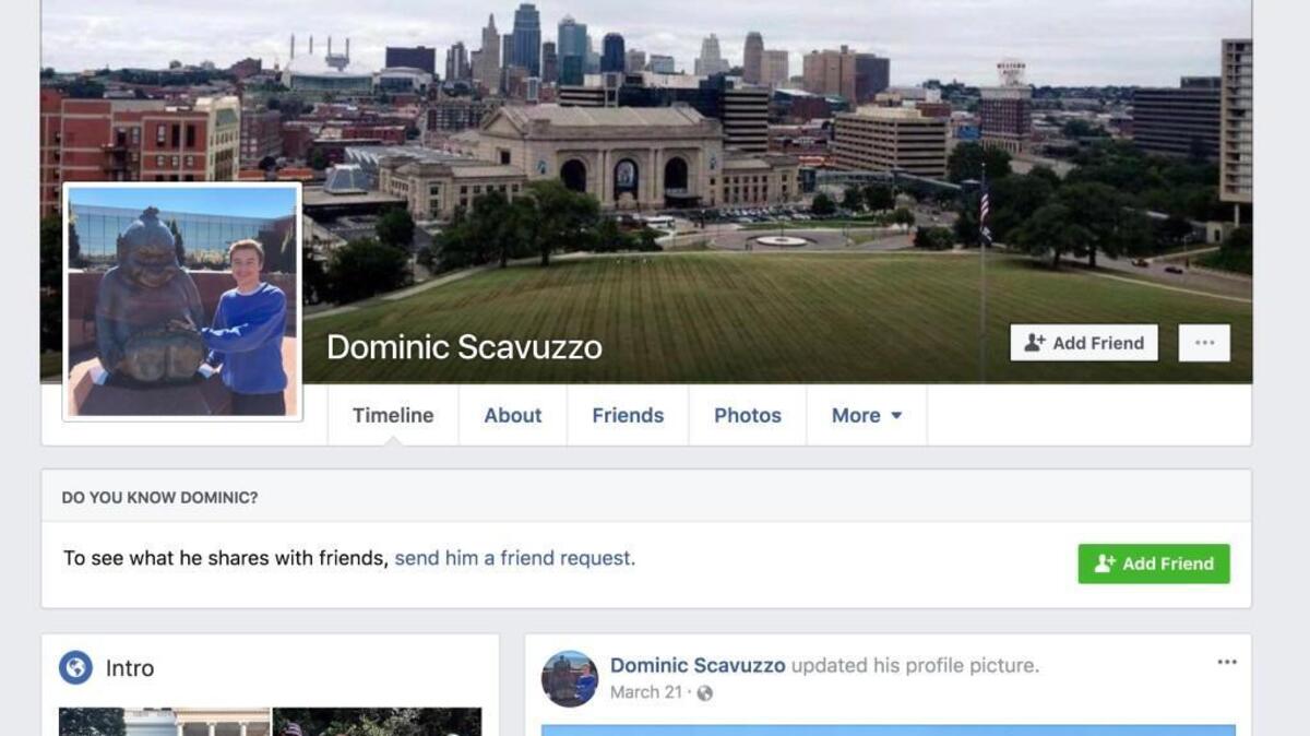 Dominic Scavuzzo, a 17-year-old Rockhurst High School student from Leawood, has become the fourth teenager running for governor in Kansas.