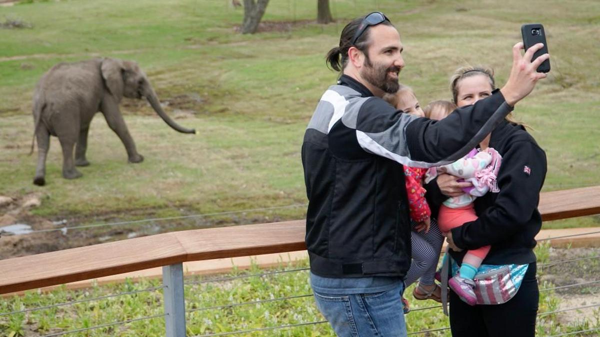 Elon Ferguson takes a selphie with his wife Shaye and their children at the Reed Family Elephants of the Zambezi River Valley at the Sedgwick County Zoo in May. According to a national survey, going to a zoo is among the most popular arts experiences Americans partake in.