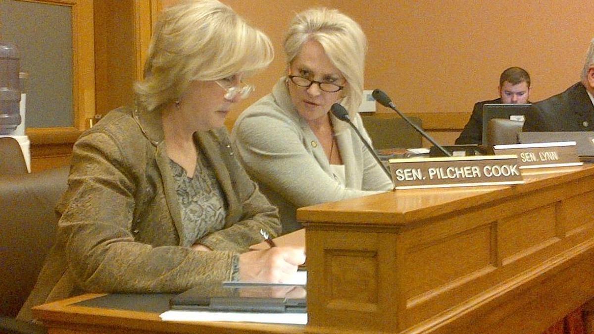 Sens. Mary Pilcher-Cook (left) and Julia Lynn at Senate tax committee meeting Tuesday.