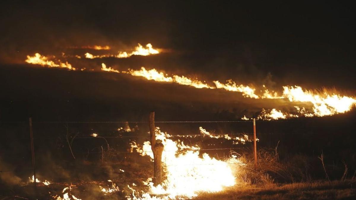 Wildfires in Kansas last week destroyed miles of fencing, the Kansas Adjutant General’s Department said.