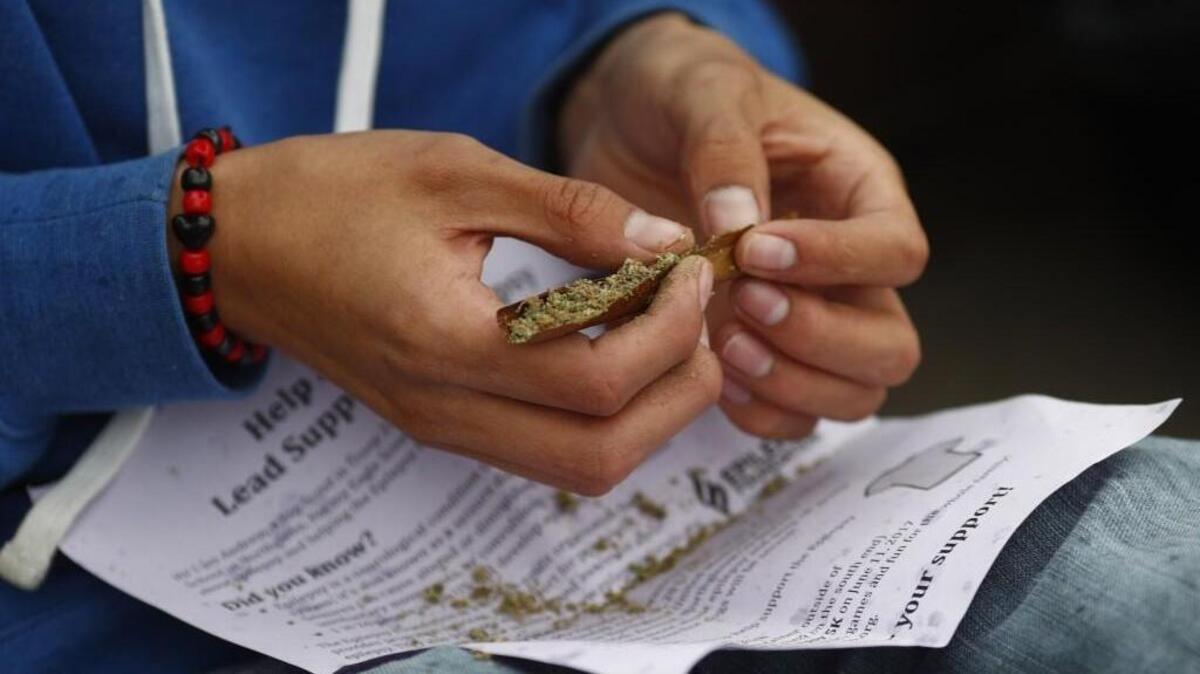 A marijuana enthusiast rolls a joint on the 4/20 holiday.