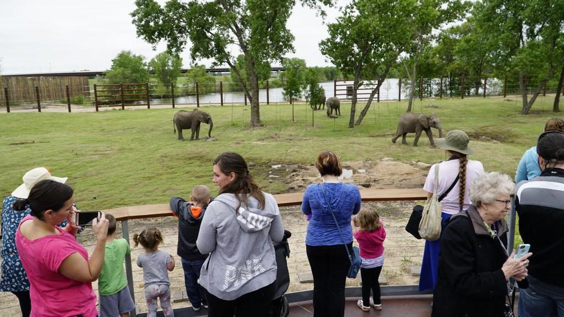 Under a new funding proposal, the Sedgwick County Commission would no longer pay for capital improvements at the Sedgwick County Zoo, such as the elephant exhibit. (May 11, 2016)