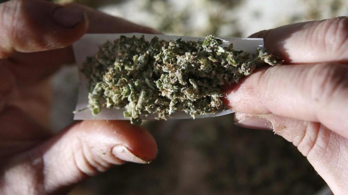 A person rolls a medical marijuana joint.