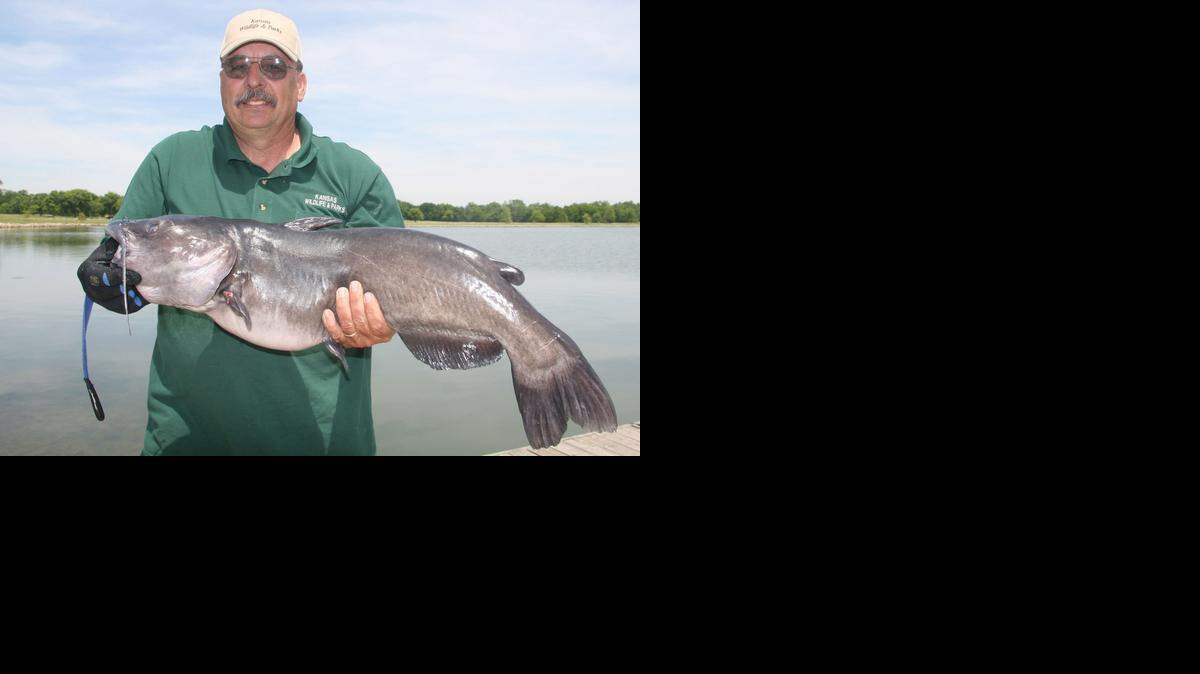 
A 20-pound channel catfish is held by biologist Leonard Jirak in 2009.
