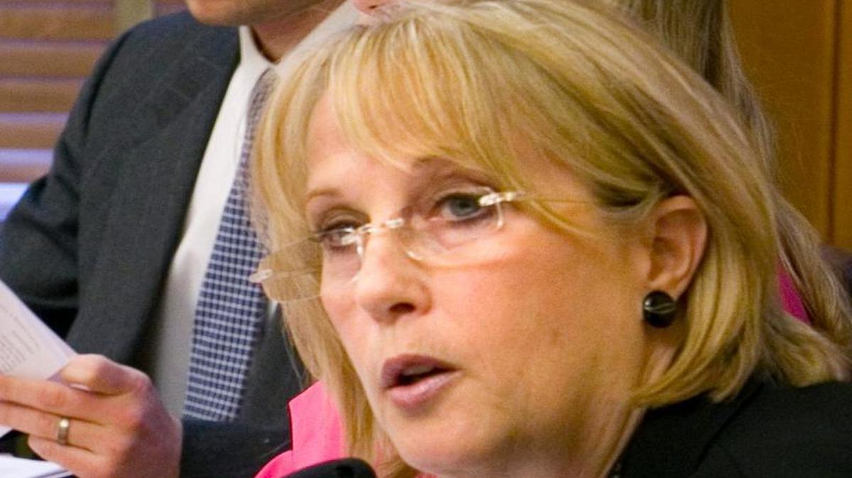 Sen. Mary Pilcher-Cook, a Johnson County Republican, during a 2014 hearing on the surrogacy bill.