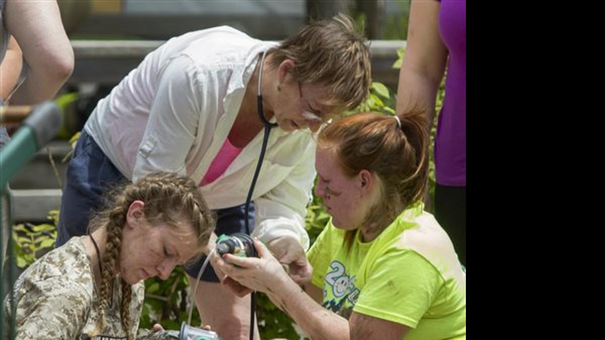 
Pet World staff and volunteers and area veterinarians give oxygen to reptiles rescued after an afternoon fire, Monday, May 25, 2015, in Lawrence, Kan. Veterinarians and emergency officials worked to save animals after a fire broke out at a Kansas pet store. (Mike Yoder/The Lawrence Journal-World via AP) 
