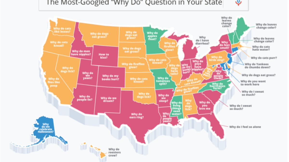 The AT&T retailer compiled each state’s most-asked questions using Google Trends.