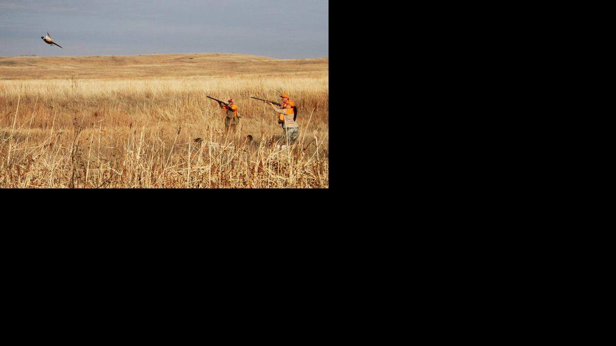 
Ringneck Ranch owner Keith Houghton, center, watches guests aim at a pheasant. A new study shows hunting brings more than $400 million to the Kansas economy. 
