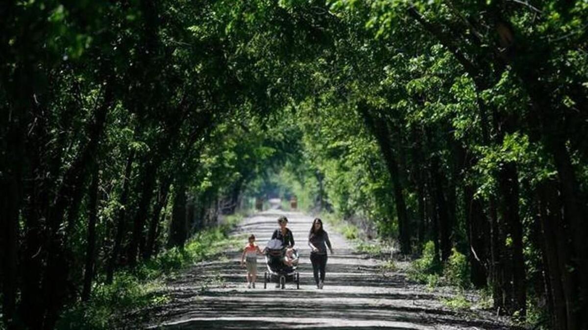 The smooth, level trails near Ottawa are part of the Flint Hills Nature Trail.