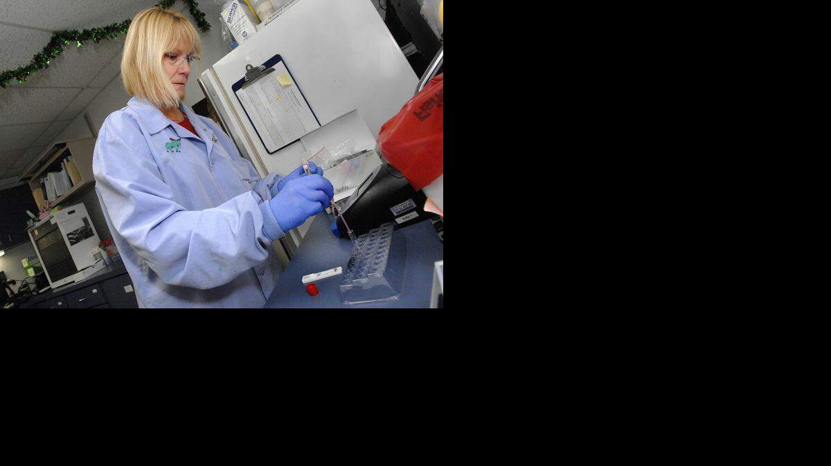 
Sue Carroll, head of the microbiology section in the laboratory at Advocate BroMenn Regional Medical Center, drops a sample of patient fluids into a test tube before assessing the presence of flu virus. Seasonal flu is making an earlier appearance this year, and the most dominant strain seen in lab results is one that causes more severe illness. 
