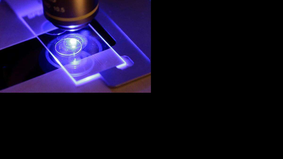 
As human contact continues to expand with increased travel around the globe, so does the occurrence of new viruses or ones that were once found only in animals in obscure locations. 
