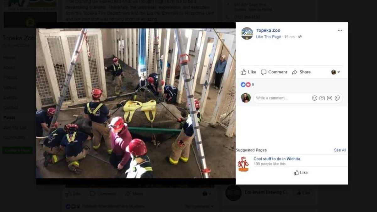 The Topeka Fire Department and the Emergency Equine Rescue Unit helped the Topeka Zoo rescue their 35-year-old elephant, Shannon.
