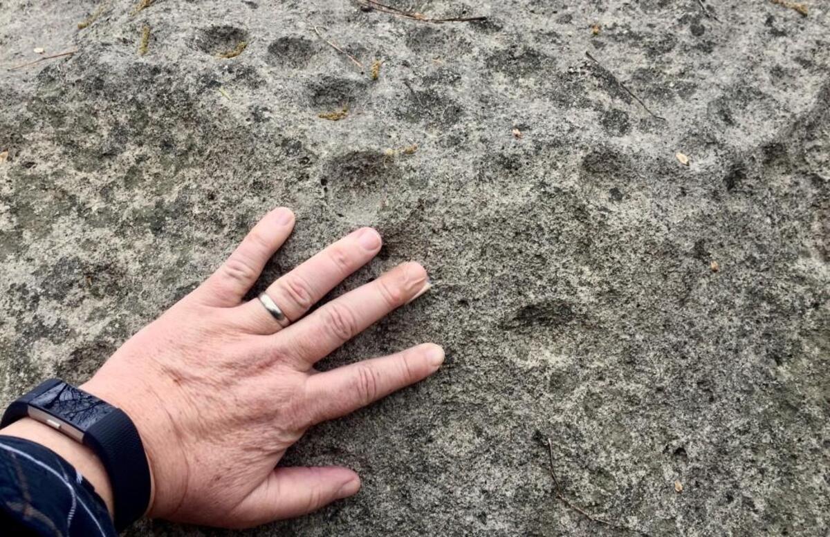 Women from the Wichita Nation pecked out these sacred holes in a limestone boulder hundreds of years ago, anthropologist Donald Blakeslee says. They’d use a stone hammer, peck out a hole, fill the hole with water — then drink the water, saying a prayer for a successful pregnancy.