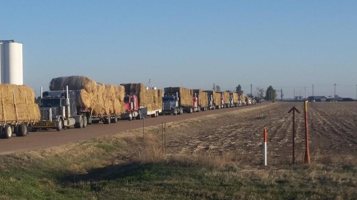 A large shipment of supplies from Paul Simon set out Wednesday from Marienthal, which is north of Garden City, to Medicine Lodge in Barber County. The shipment included 329 bales of feed, 950 posts, 52 rolls of wire, 80 power poles and 15 bags of all-purpose feed.