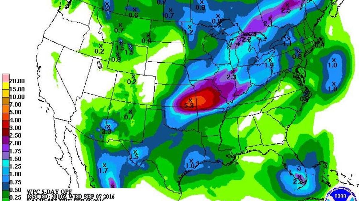 Rainfall forecast for the next seven days