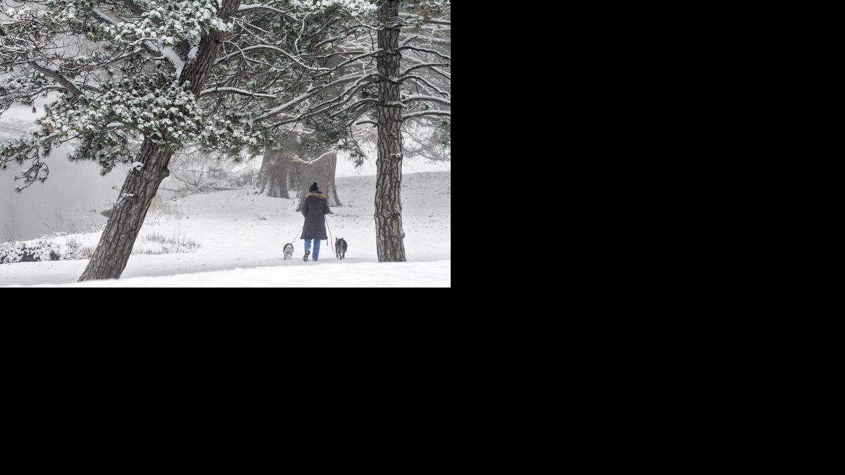 
Nedra Jansen walks her dogs along the Little Arkansas River on Thursday morning. The heaviest snow of the season blanketed the Wichita area with nearly 3 inches of snow overnight. (Dec. 18, 2014) 
