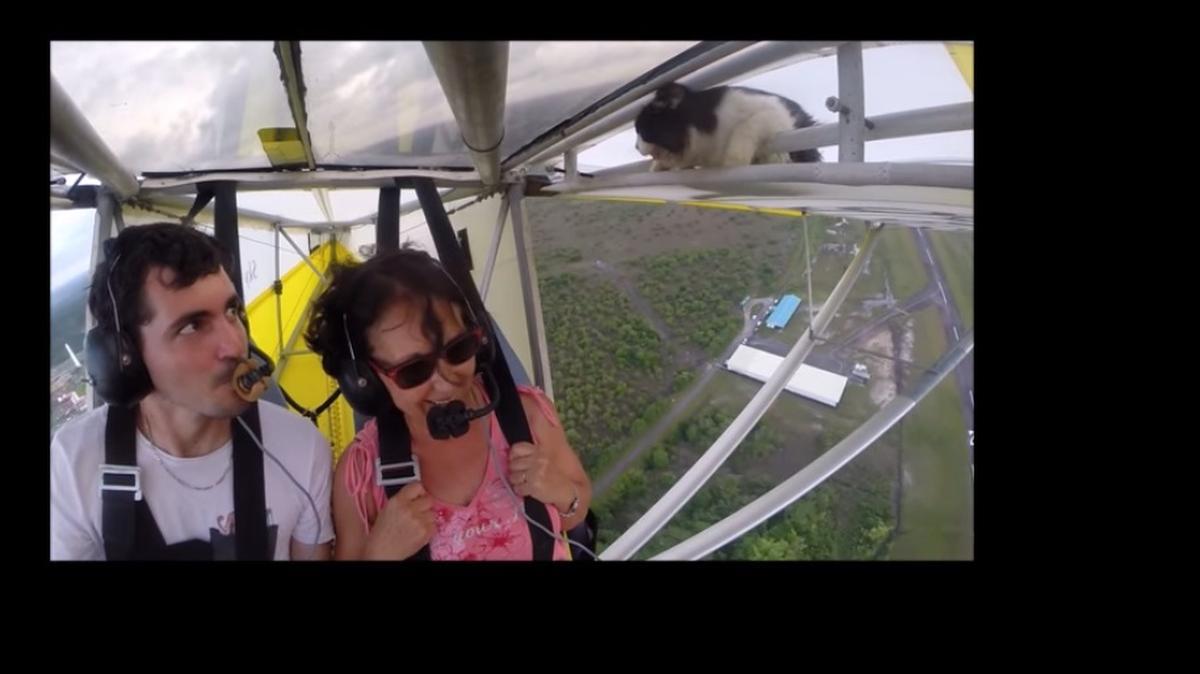 
Screenshot from video 
