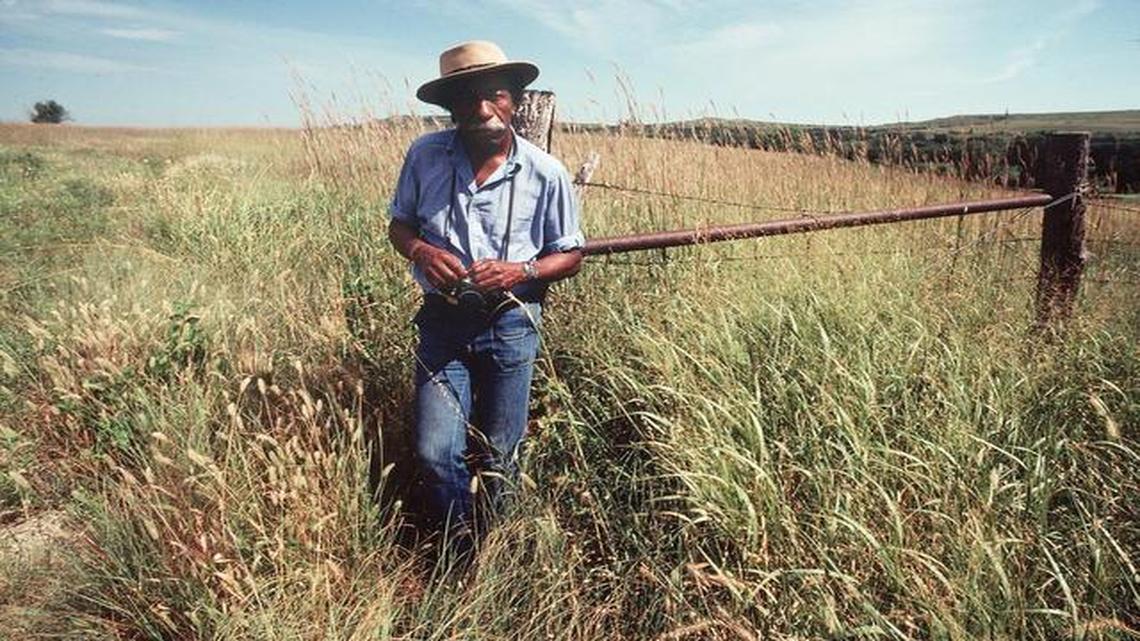 
Kansas-born photographer and filmmaker Gordon Parks is as celebrated as ever.
