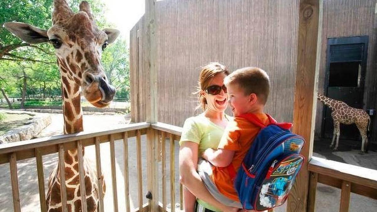 Sedgwick County support has enabled the zoo to keep growing and improving its offerings.