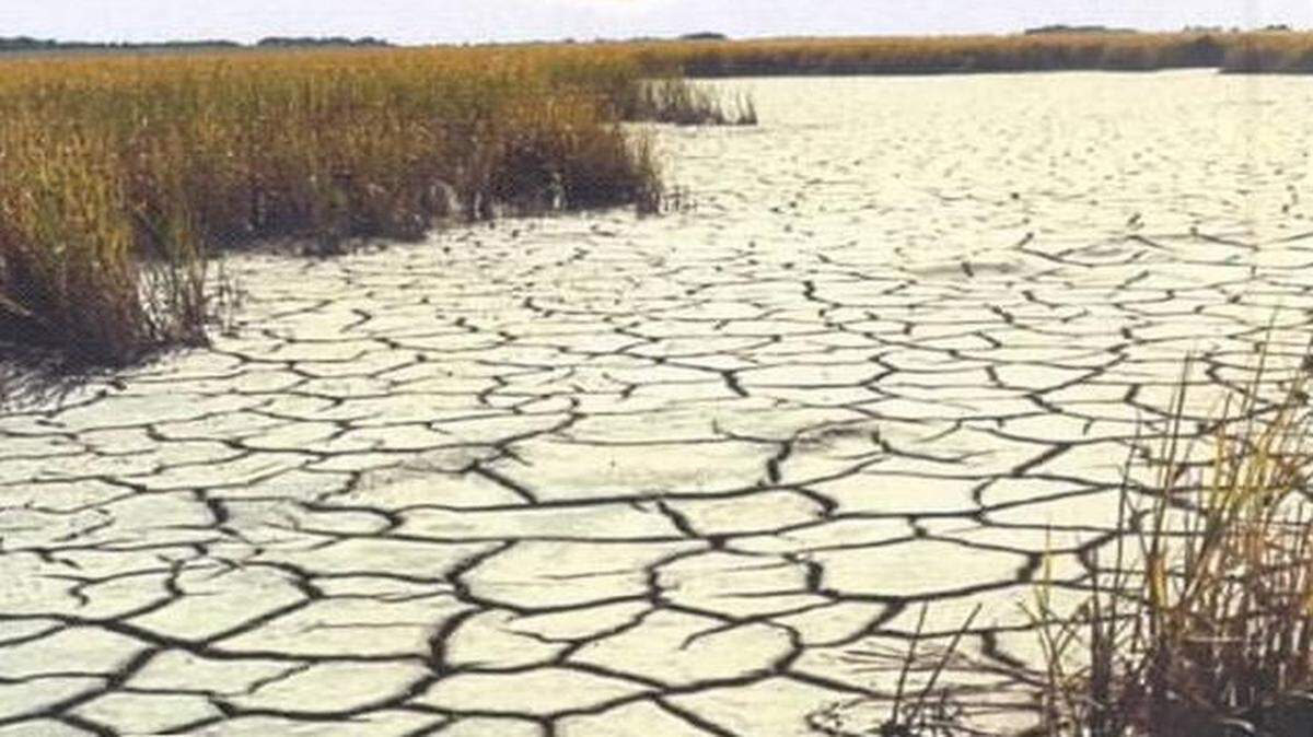 
A 50-year vision plan for water is not just wise but essential for the state.
