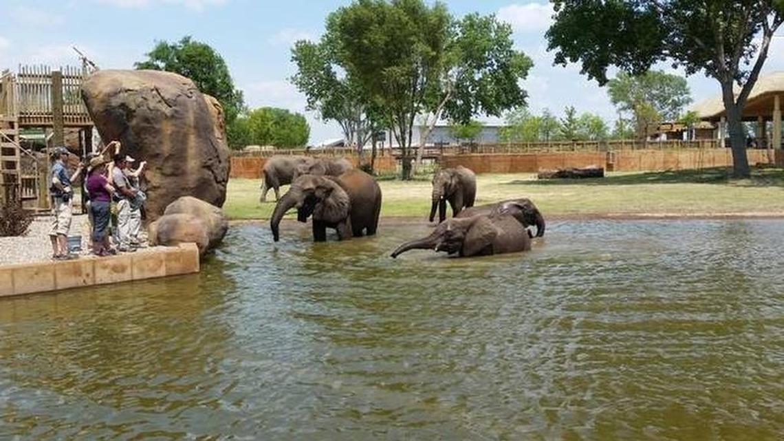 The prospect of a Sedgwick County takeover of the zoo’s day-to-day operations is nutty.