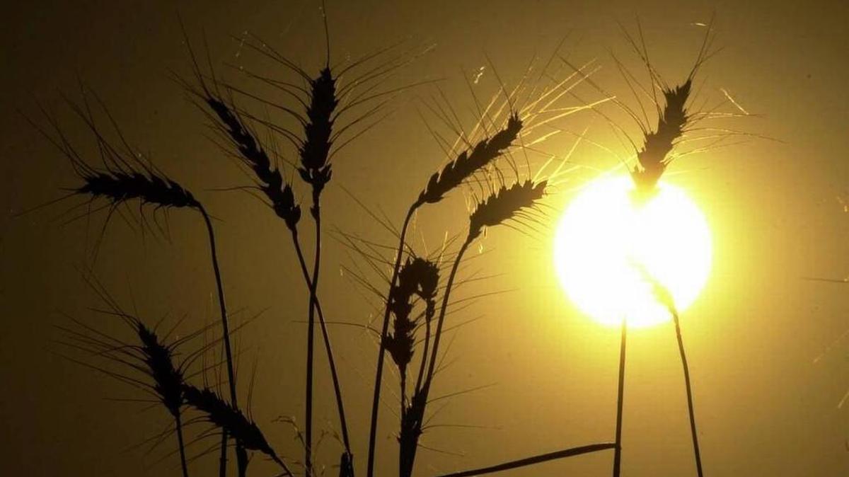 A new law requires governments around the state to operate in more sunshine.