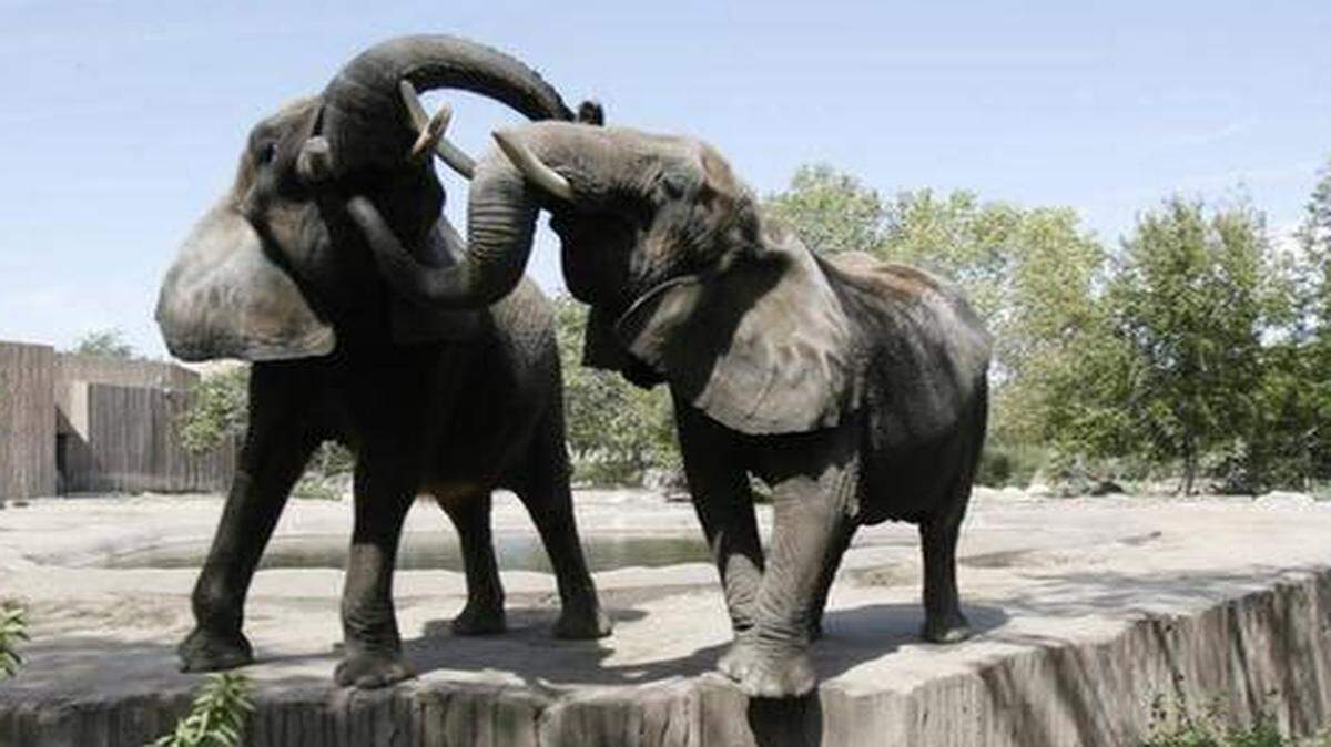 
Cinda, left, with Stephanie
