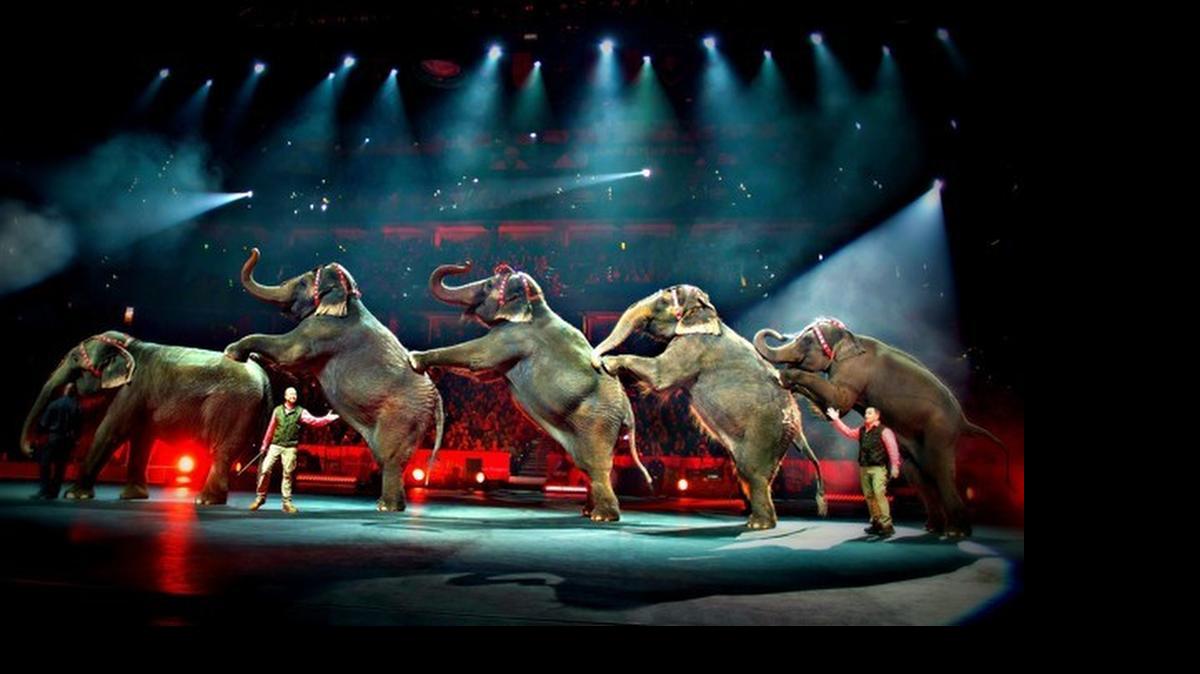 
To its credit, the Ringling Bros. and Barnum & Bailey Circus is retiring its elephant acts.
