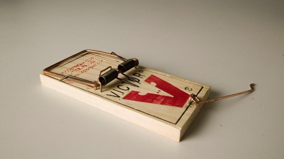 Bugs, mouse poop, employees who didn’t wash hands at Wichita KS restaurants