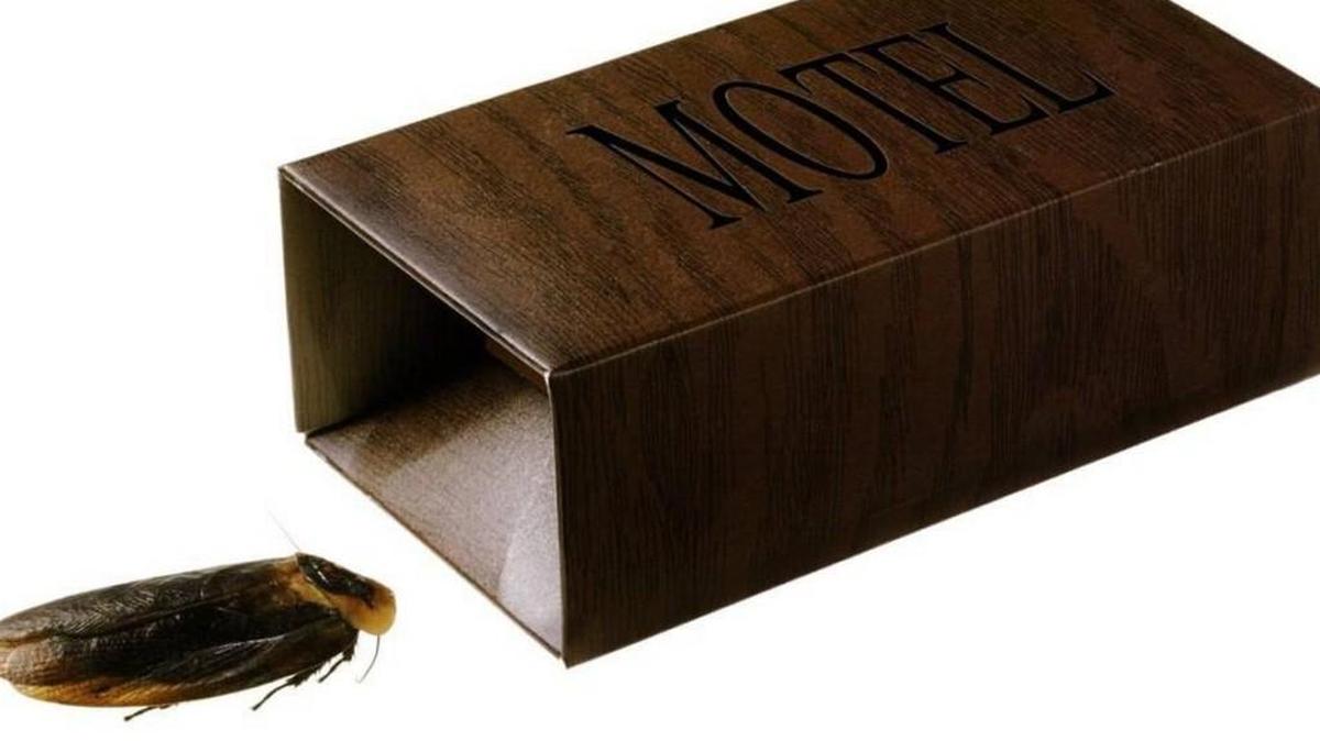 Kansas health inspectors found cockroaches, bed bugs and black mold during November and December restaurant and hotel inspections in Sedgwick County.